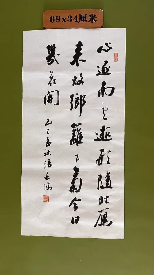 书法书法 张若鸿 尺寸69cm*34cm