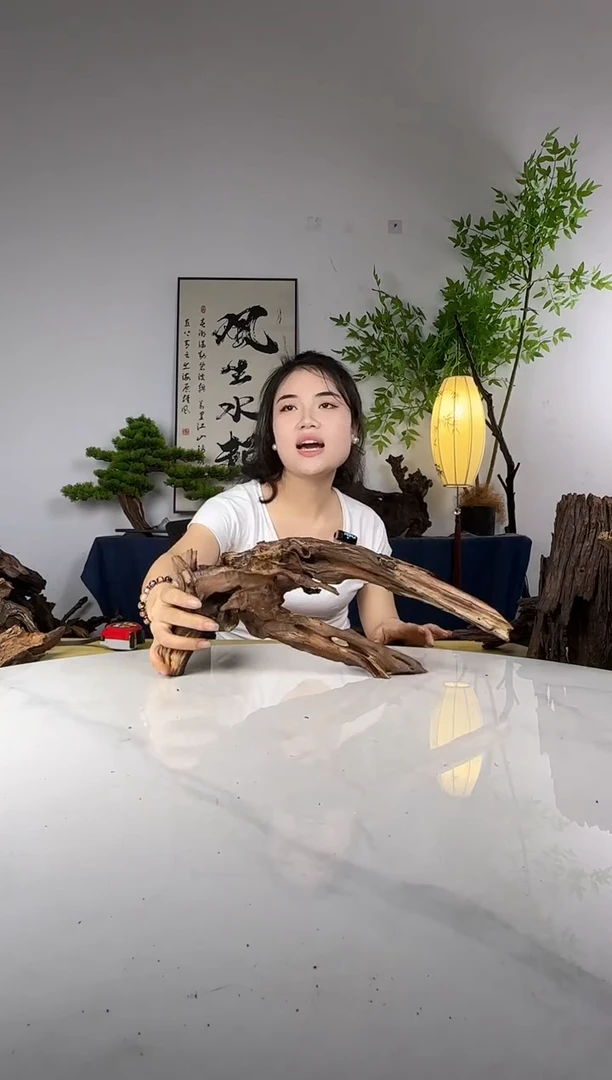 S****?拍这个定向编号85