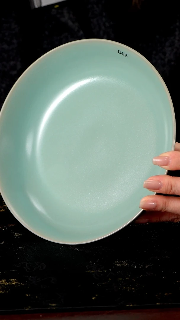 杯868 餐盘19.5 公分