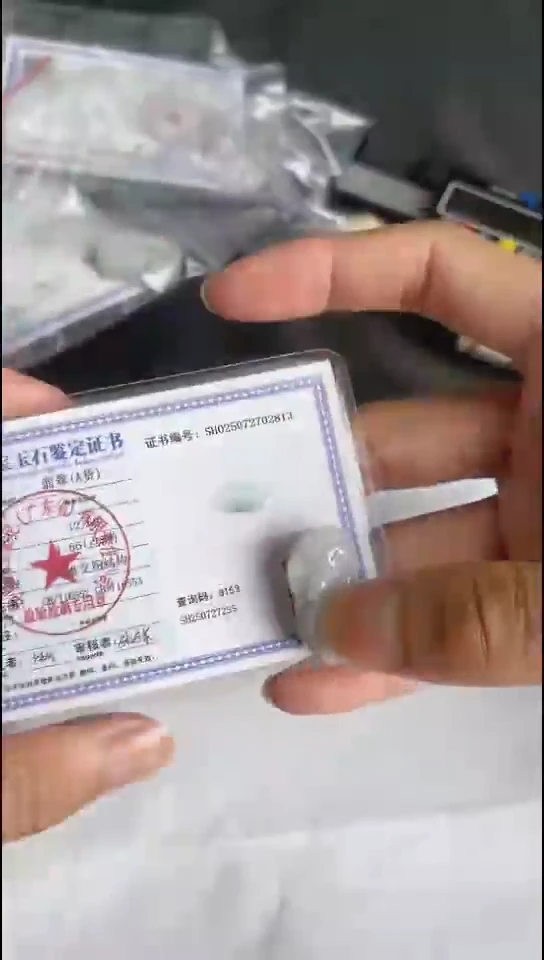 翡翠未镶嵌颈饰貔貅