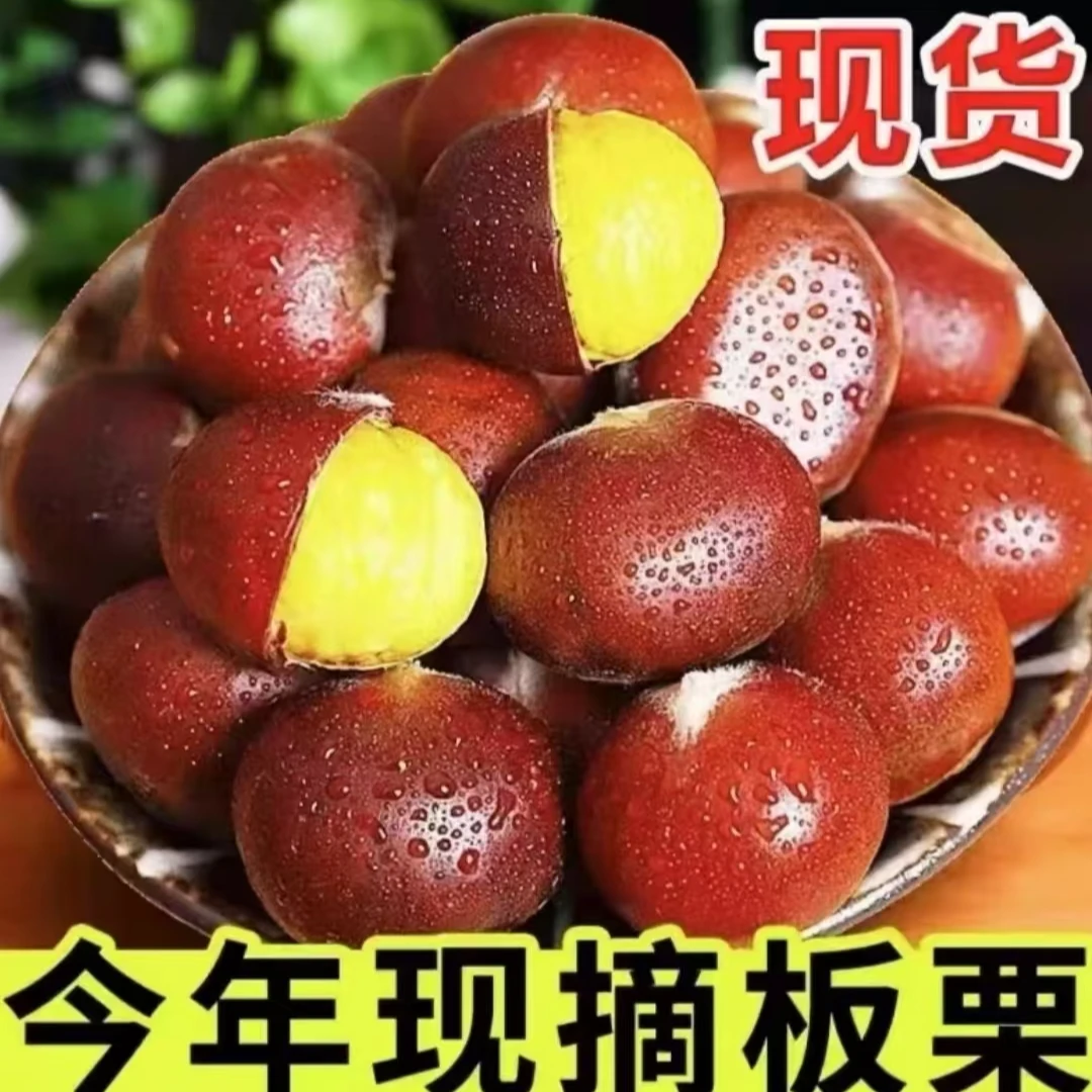 【4.5斤-5斤】新鲜现摘高山甘甜清脆饱满带壳非油栗子送简易栗爪