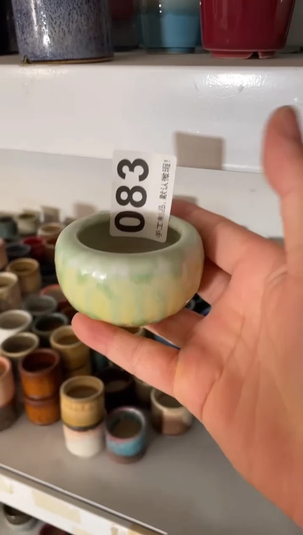瓷片6*6083知木小芳花盆直播编号