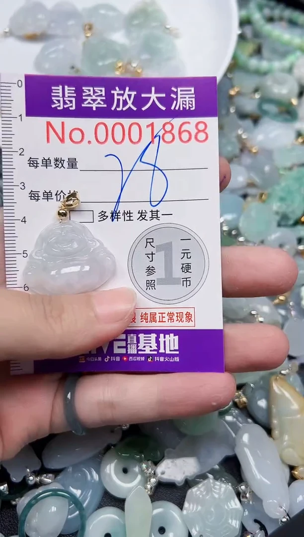 颈饰未镶嵌翡翠1868