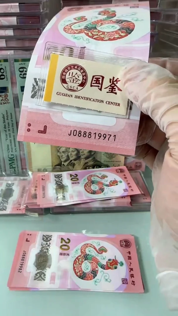 【闪购商品】塑料088819971-蛇钞单张！