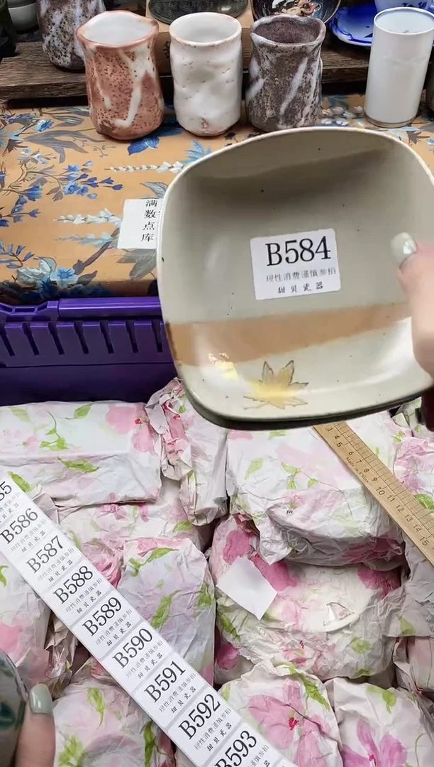 瓷片只***点                B584
