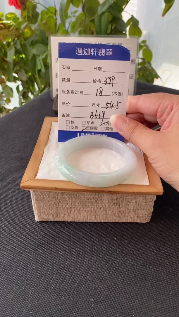 未镶嵌手镯翡翠54.5圈口 B639编码