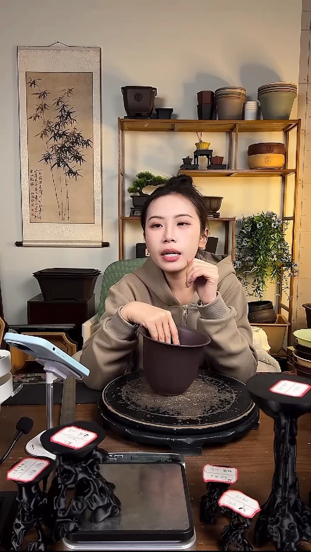 10只15口径金钟紫檀色