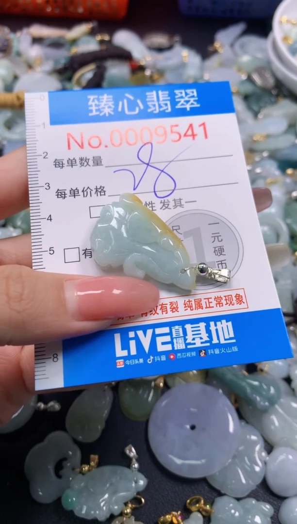 翡翠未镶嵌颈饰9541