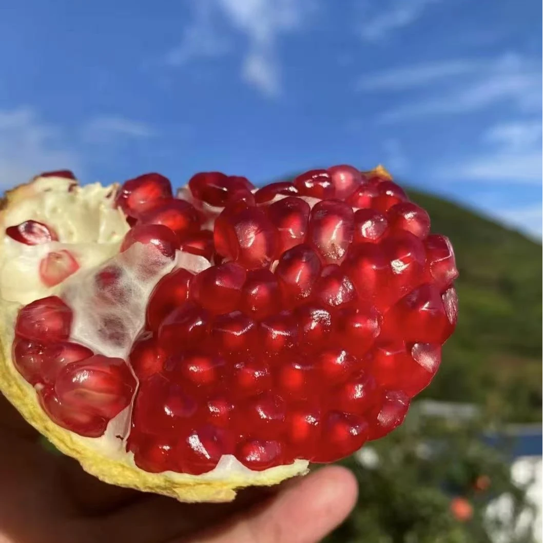 四川会理软籽石榴新鲜当季水果红心甜石榴鲜甜多汁