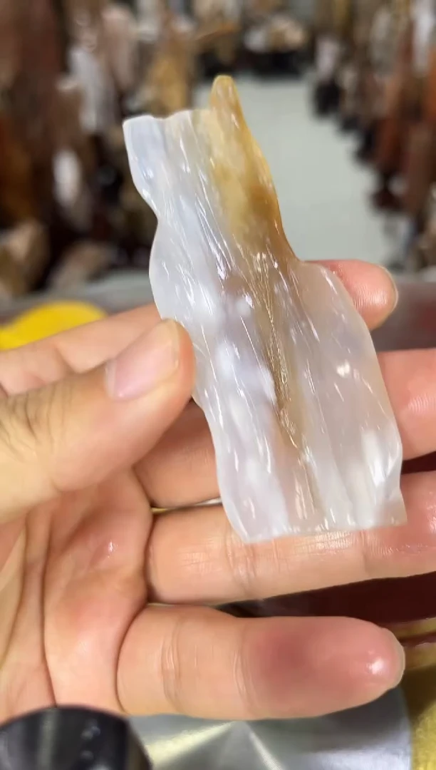 硅化玉珠宝奇石未镶嵌缅甸天然树化玉