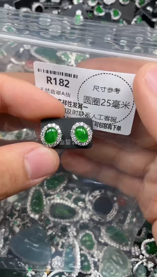 翡翠未镶嵌颈饰R182耳钉