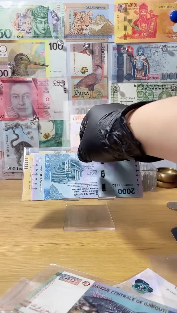 纯金雁*瑞士10纸币一张-605