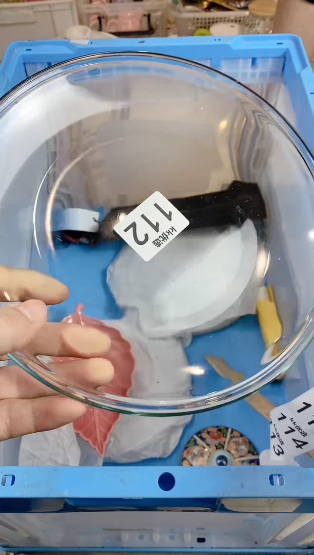 【闪购商品】瓷片112定向 十八帮主定向 十八帮主