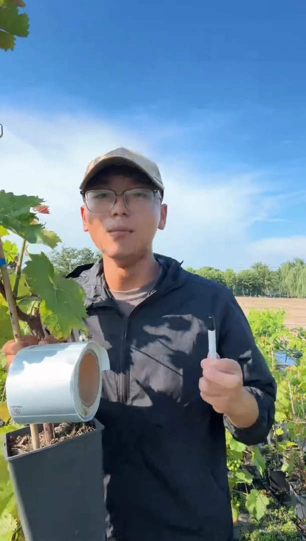 摩尔多瓦一物一拍 GSC013