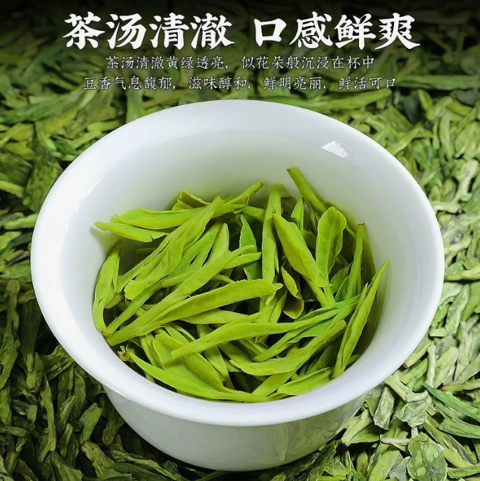 25年正宗雀舌龙井绿茶新茶高山绿茶茶叶装明前春茶买半斤送半斤T