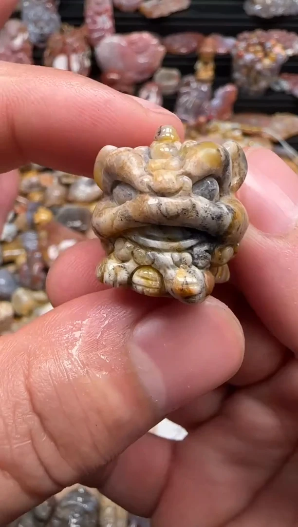 【闪购商品】硅化珊瑚（珊瑚玉）颈饰未镶嵌338