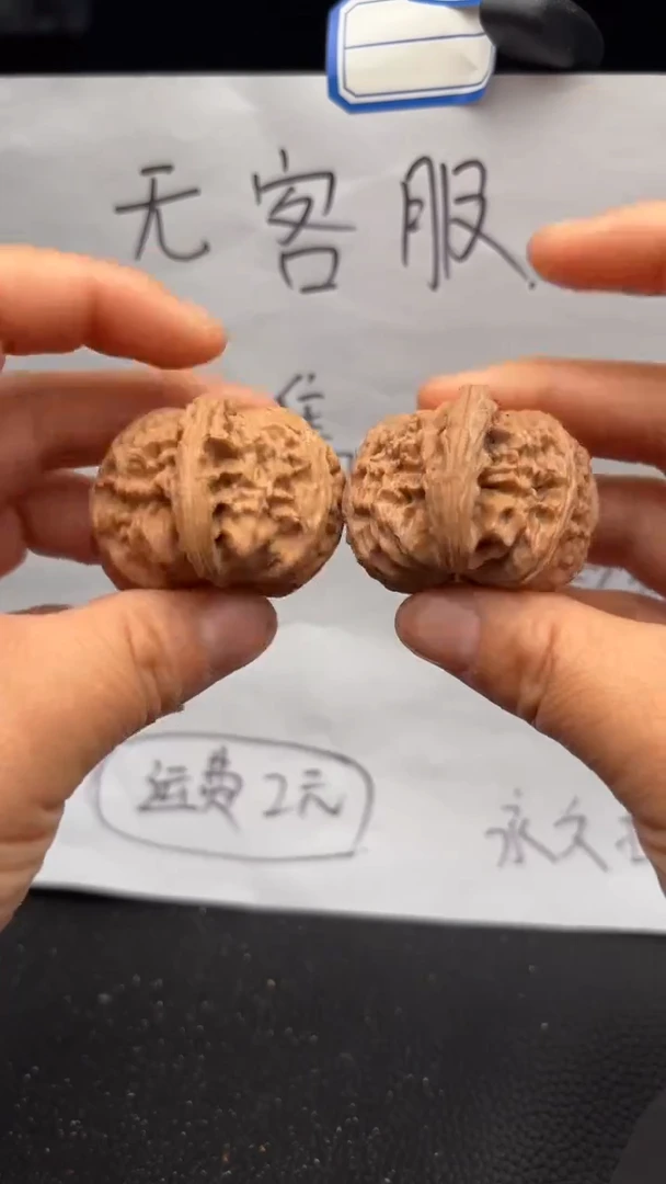 把件文玩核桃697白狮子