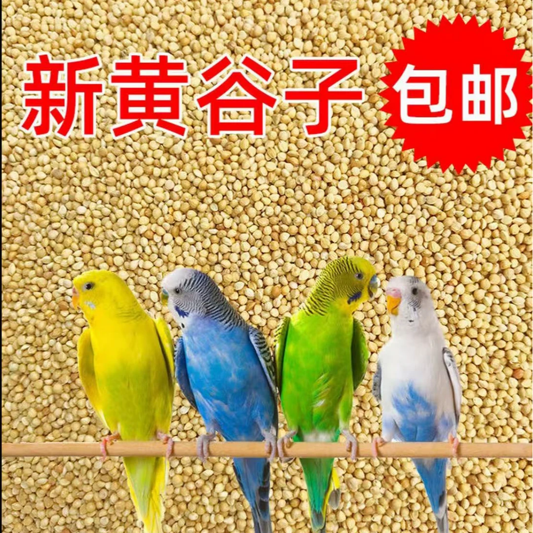 鹦鹉类鹦鹉鸟料饲料鸟粮新黄谷子带壳小米虎皮饲料玄凤牡丹食物粮