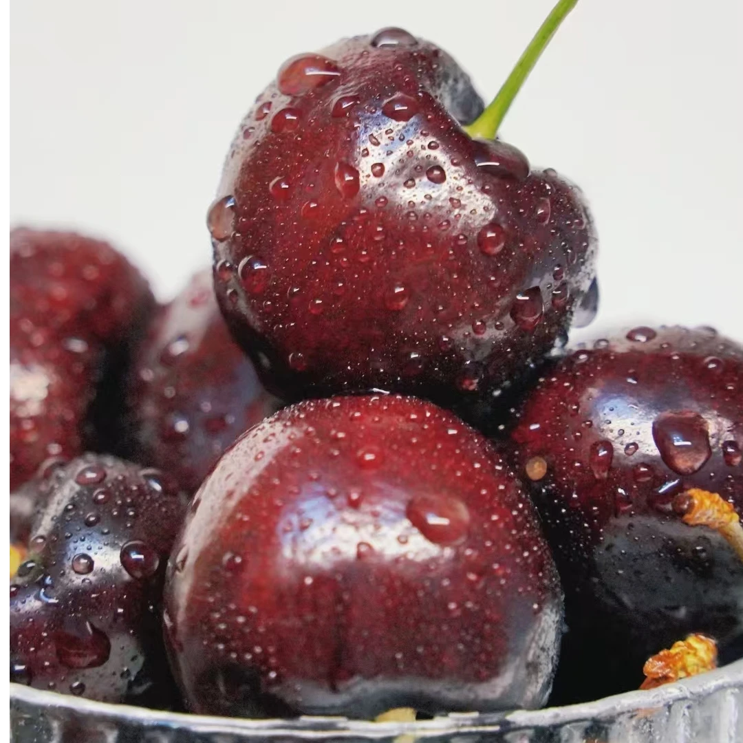 JIU智利车厘子4JD原箱5斤装瑞吉纳拉宾斯海运京东到家 内附果径卡