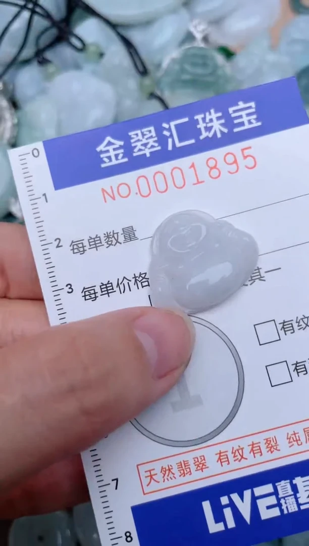翡翠未镶嵌颈饰1895