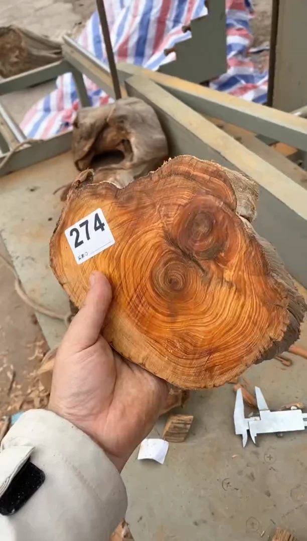 【闪购商品】柏木太行陈化崖柏（津诚林）切片