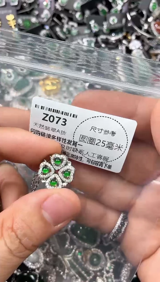 翡翠未镶嵌颈饰Z073项链