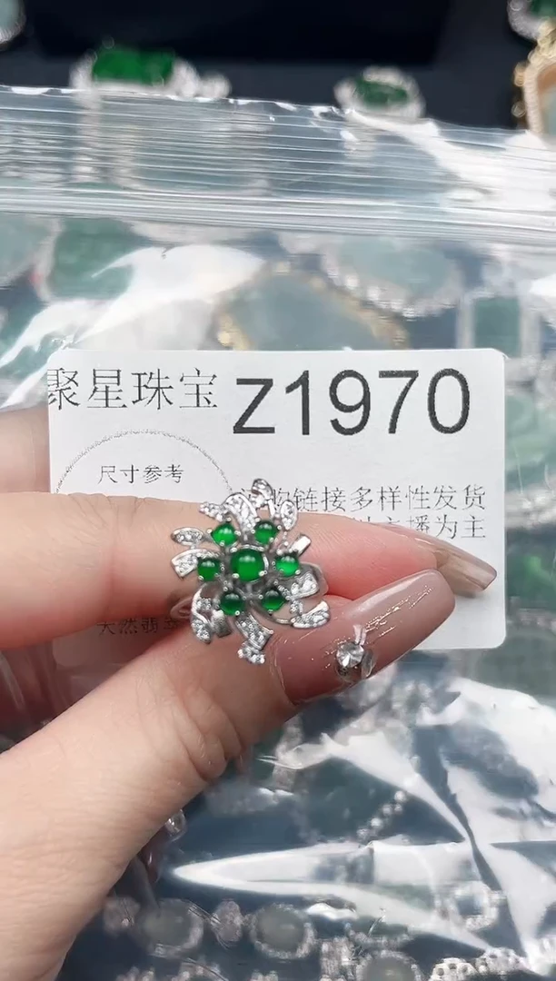 【闪购商品】翡翠颈饰未镶嵌赠皮绳1970