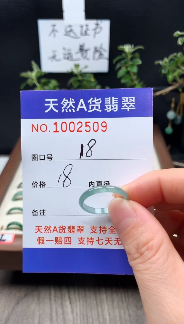 未镶嵌戒指翡翠18#