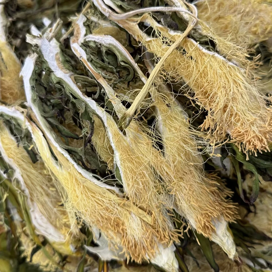 霸王花干 剑花干