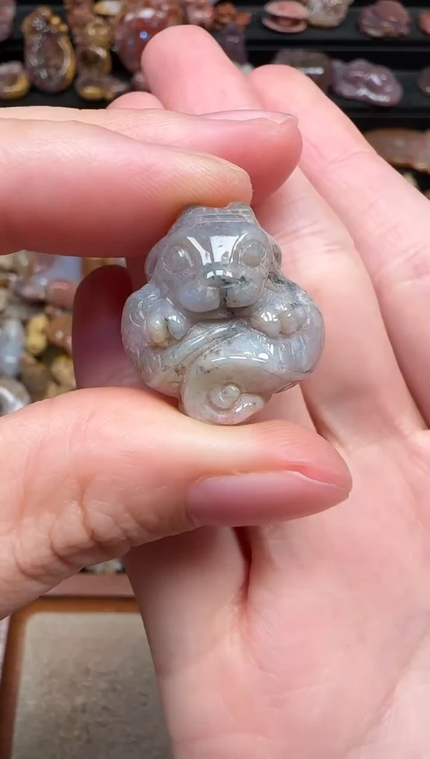 颈饰未镶嵌硅化珊瑚（珊瑚玉）301
