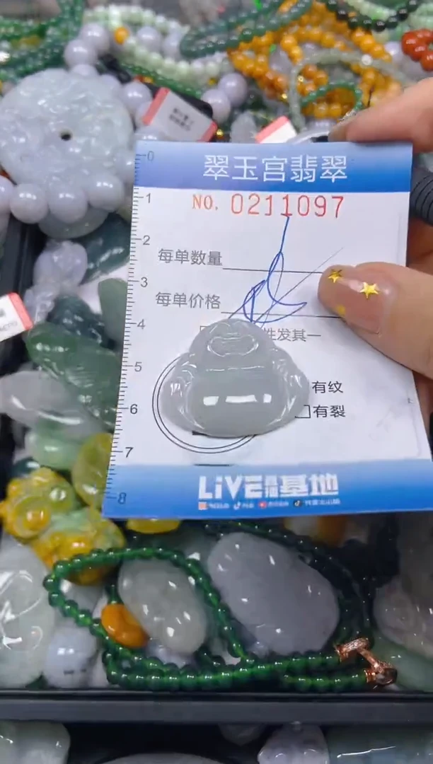 颈饰未镶嵌翡翠闪购C0211097多样性发其一