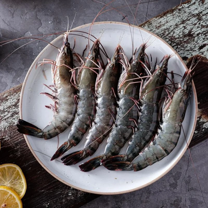 活冻黑虎虾(1盒4-7条)福建东山岛直发海捕大黑节虾250g/盒