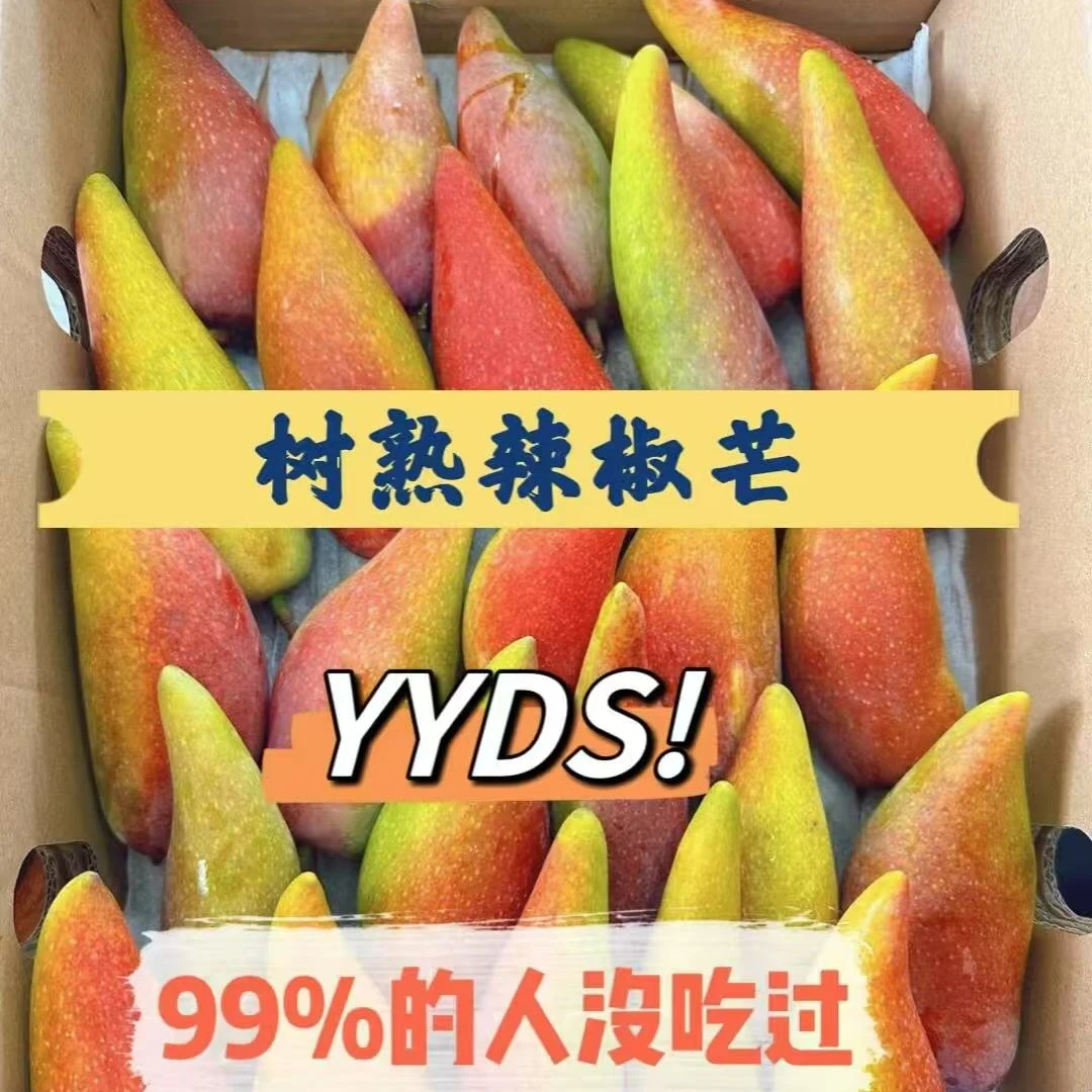 空运树上熟辣椒芒-无敌的好吃呀-芒果季真的推荐1份250300克