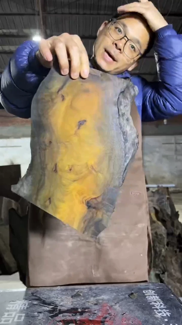 金丝楠10金丝楠小叶桢原材料楠