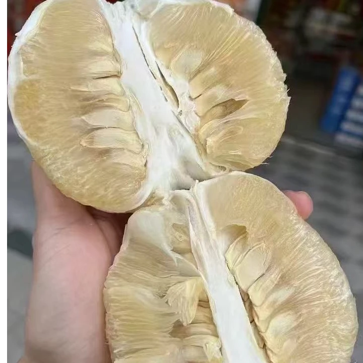 化州市区送货【科涛冰糖柚】一件4个