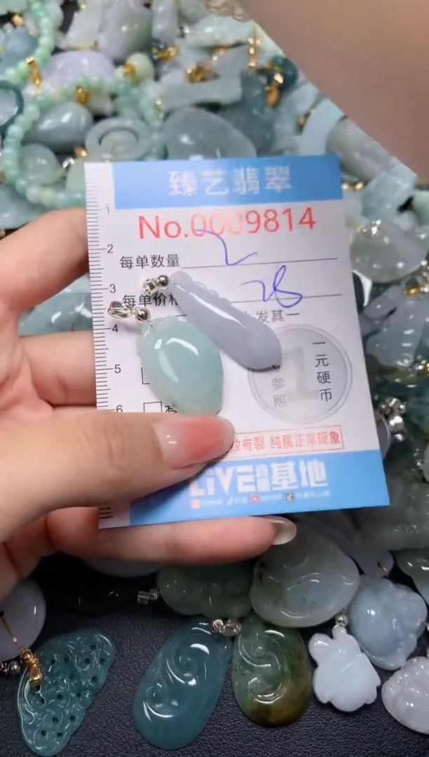 颈饰未镶嵌翡翠9814