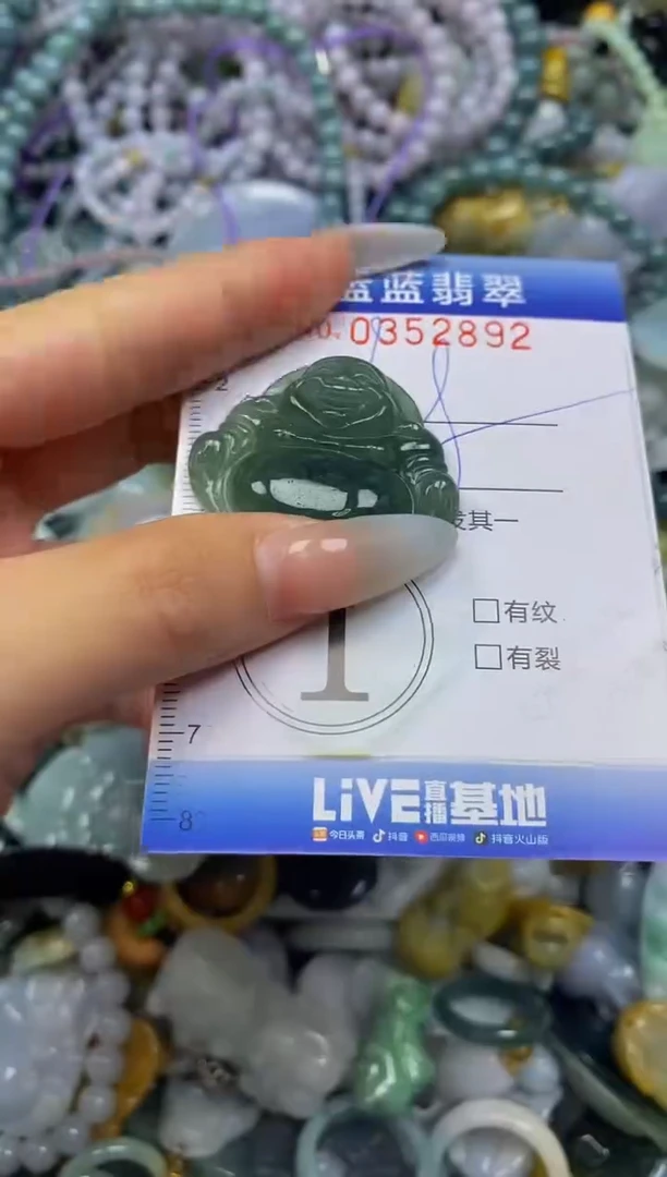 颈饰未镶嵌翡翠闪购0352892