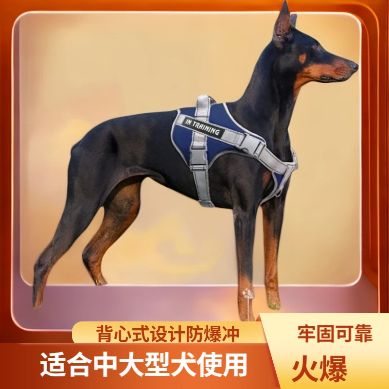 大型犬狗绳金毛背心式防爆冲胸背带拉布拉多杜宾狗链子狗狗牵引绳