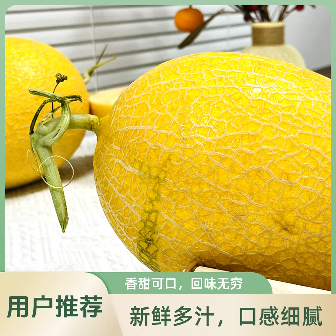 新疆黄金哈密瓜水果次日达新疆维吾尔自治区