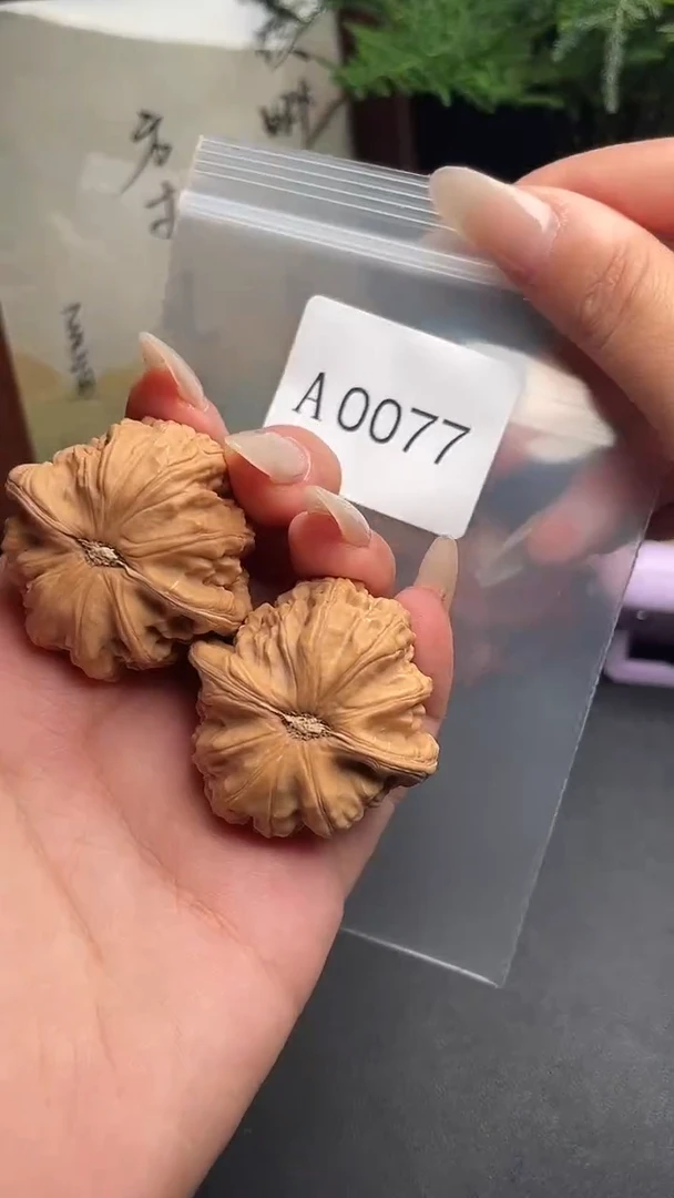 文玩核桃把件38尺白狮子