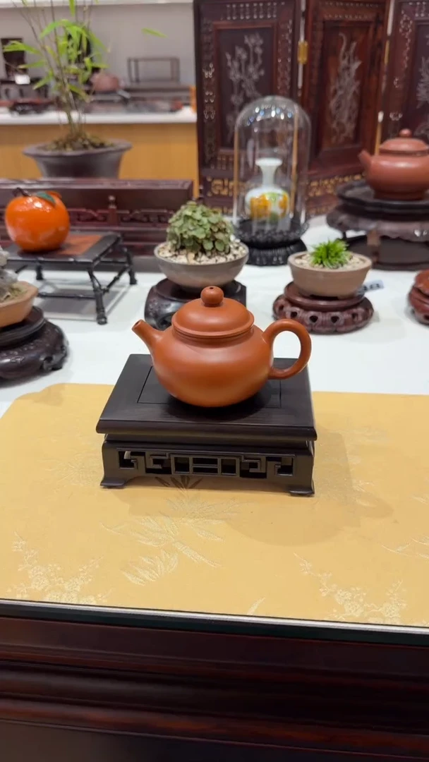 紫砂1紫砂紫砂紫砂紫砂紫砂