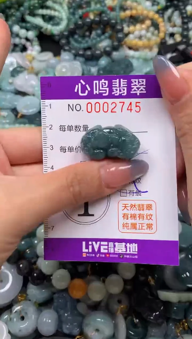 颈饰未镶嵌翡翠闪购002745