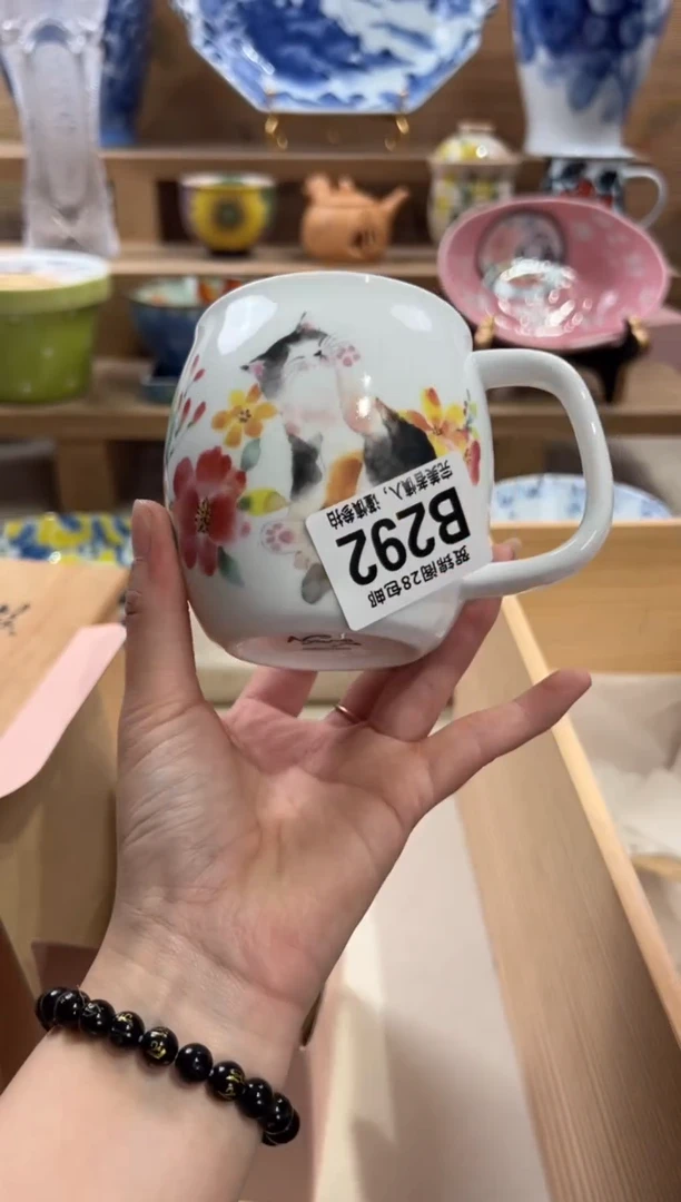 瓷片c****i     B292