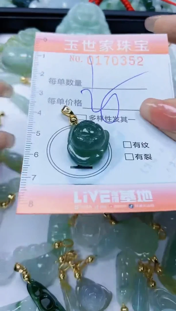 【闪购商品】翡翠颈饰未镶嵌闪购0170352