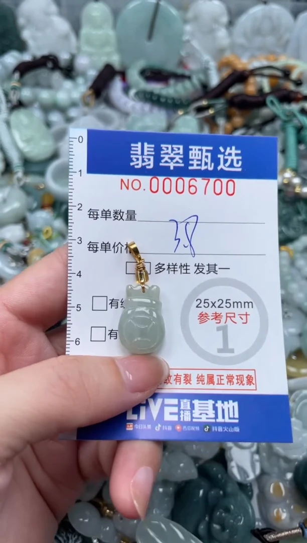 翡翠未镶嵌颈饰00..6700