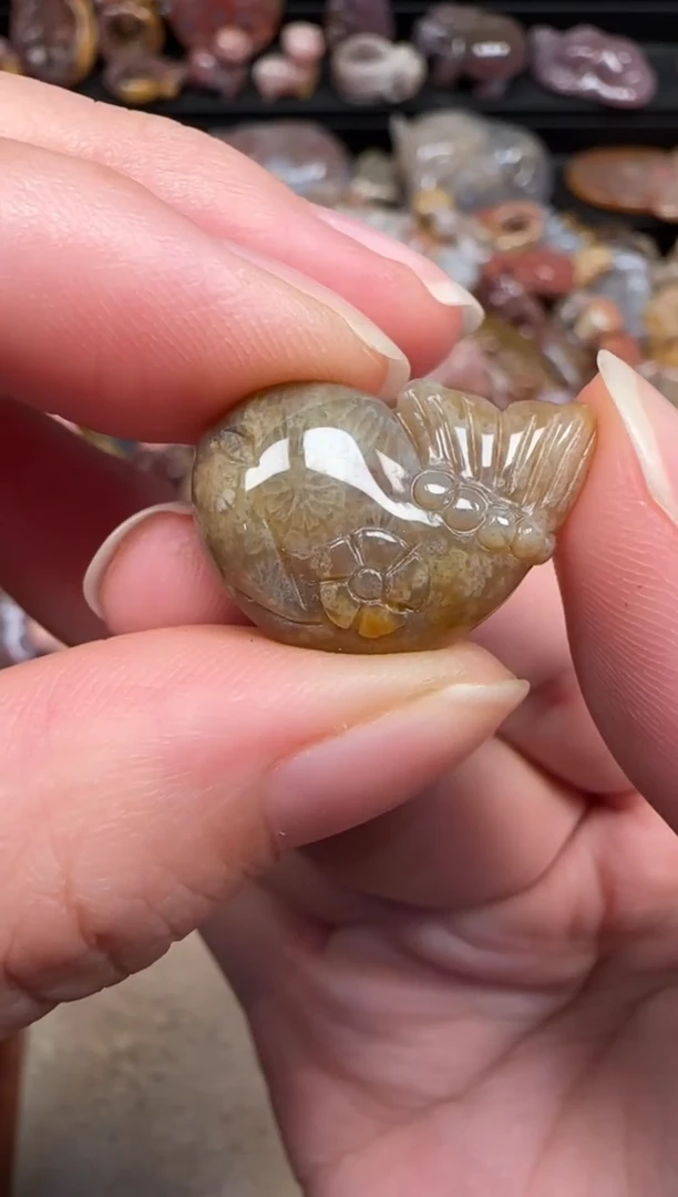 颈饰未镶嵌硅化珊瑚（珊瑚玉）274