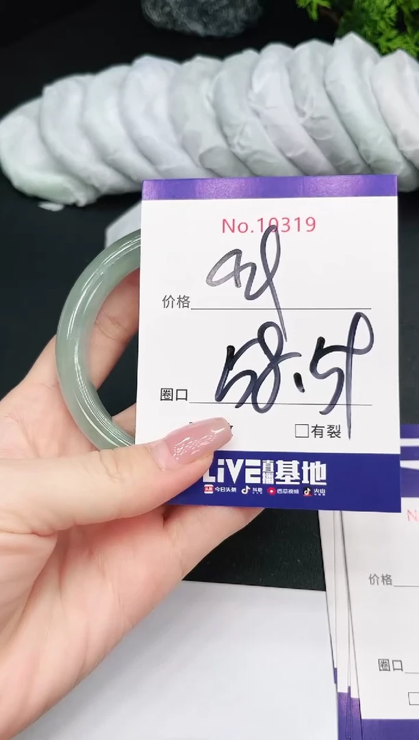 未镶嵌手镯翡翠10319