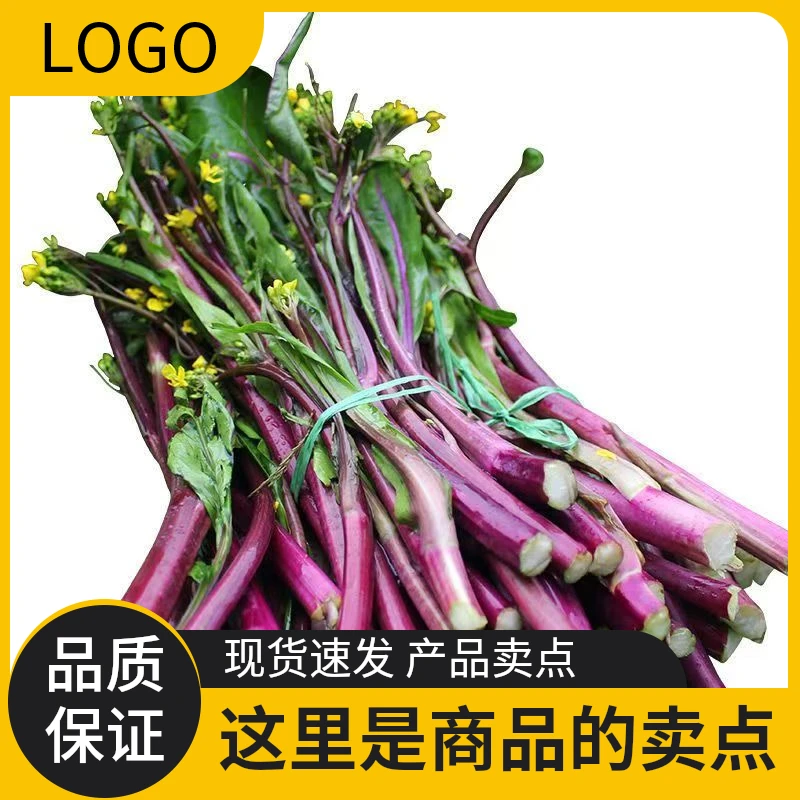 湖北红菜苔青菜芒果红菜苔建始农家生鲜食品新鲜新鲜红菜苔菜苔子