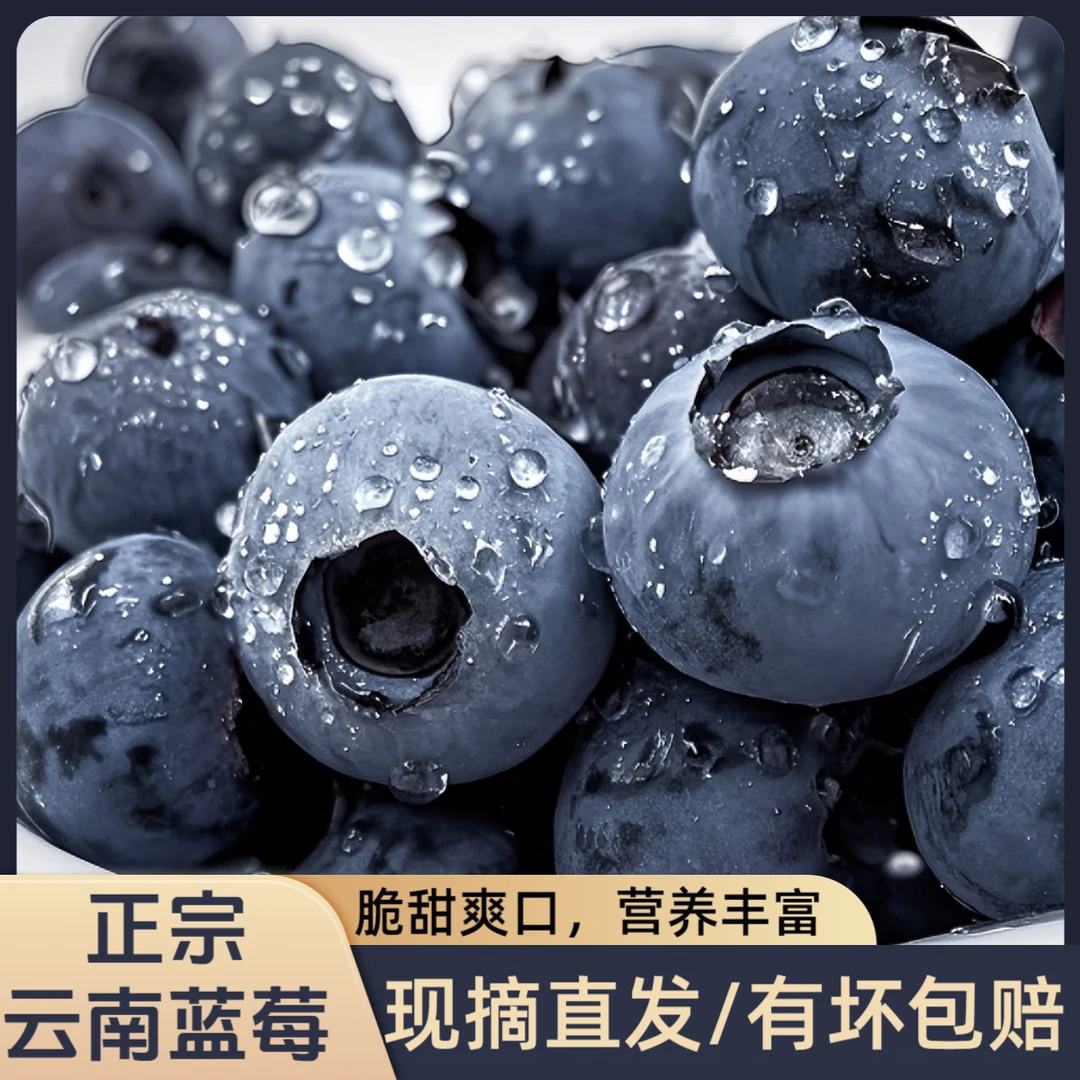 云南蓝莓125克/盒礼盒装基地当日现摘脆甜花青素丰富有包赔B