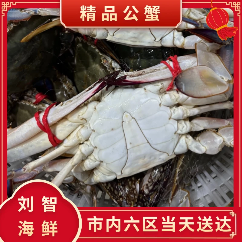 特大公蟹  【保鲜不保活】（4-8两左右一只） 海产 2-6斤残蟹断氧
